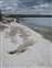 West Thumb - Shoreline