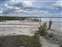 West Thumb - Steaming Shoreline