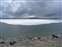 Yellowstone Lake Pummice Point
