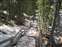 Lehardys Rapids Snowy Steps