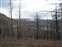 Lake Butte Burn View