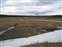 Pelican Creek