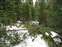 IMG_1508 YS GCny UTomPt Blocked Trail.JPG