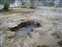 Black Sand Basin - Hissing Springs