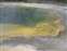Black Sand Basin - Emerald Pool