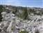 The Hoodoos