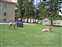 Mammoth Hot Springs - Deer on Fort Lawn