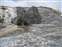 Mammoth Hot Springs - Devil's Thumb