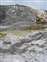 Mammoth Hot Springs - Palette Spring