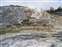 Mammoth Hot Springs - Palette Spring