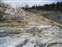 Mammoth Hot Springs - Palette Spring