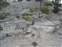 Mammoth Hot Springs - Dry Terraces