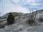 Mammoth Hot Springs - Jupiter Terrace