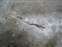 Mammoth Hot Springs - White Elephant Sulfur Crack