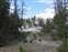 Mammoth Hot Springs - White Elephant Mound