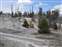 Mammoth Hot Springs - Angel Terrace