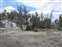 Mammoth Hot Springs - Angel Terrace