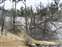 Mammoth Hot Springs - Angel Terrace
