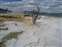 Mammoth Hot Springs - Canary Spring