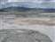 Mammoth Hot Springs - Canary Spring