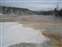 Mammoth Hot Springs - Canary Spring