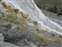 Mammoth Hot Springs - Canary Spring Terraces