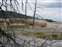 Mammoth Hot Springs - Canary Spring Terraces
