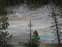 Norris Geyser Basin - Porcelain Basin