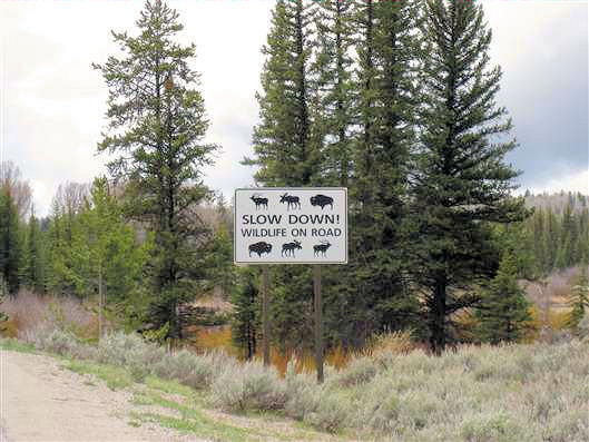 Click for large image