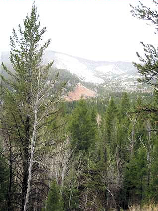 Click for large image