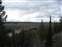 Snake River View