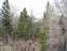 Gros Ventre Slide
