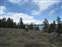 Jackson Lake