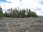The Potholes