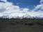 Mount Moran