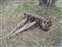 Menor's Ferry Old Wagon Parts