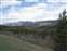 View from Lender Cut-Off