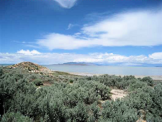 Click for large image