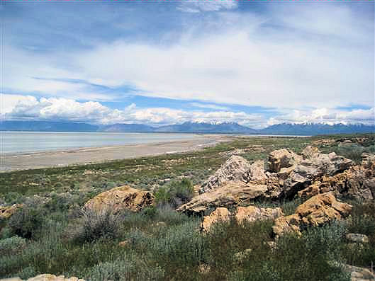 Click for large image