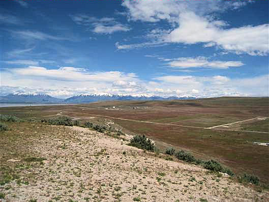 Click for large image