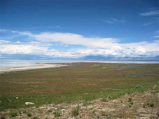 Click for large image