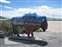 Antelope Island Bison Art