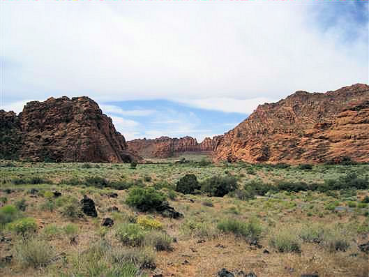 Click for large image